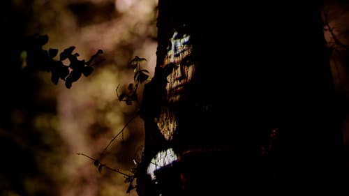 La búsqueda del otro Bild 1