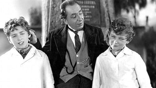 Maestro Levita Bild 1