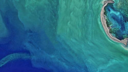 The Earthshot Prize: Repairing Our Planet Bild 2