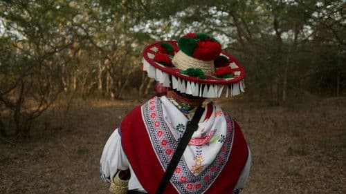 Eco de la montaña Bild 2