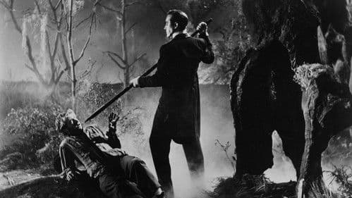 Lebendig begraben Bild 3