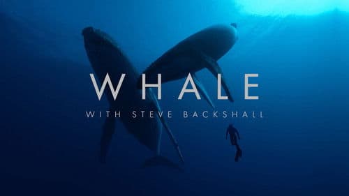 Wale – mit Steve Backshall Bild 1