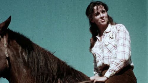 Des Satans heiße Katzen Bild 3