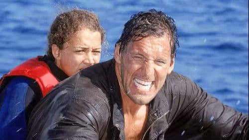 Hai-Alarm auf Mallorca Bild 1