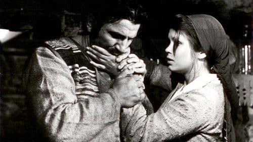 Колнати сме, Ирина Bild 1