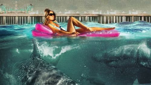 Jersey Shore Shark Attack Bild 4