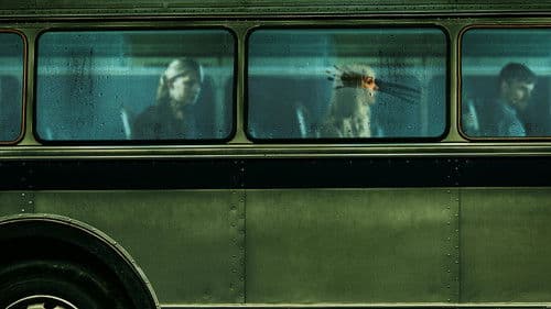 Blutiger Trip Bild 4