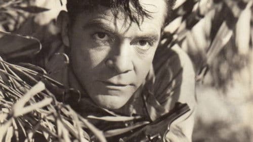 Duell im Dschungel Bild 2