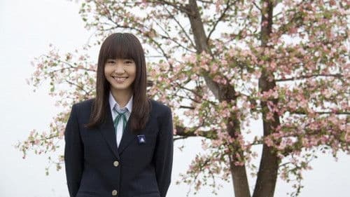 ハナミズキ Bild 1