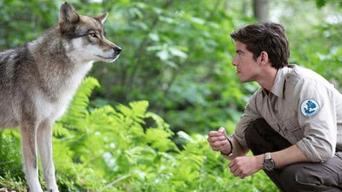 Der Ranger - Paradies Heimat Bild 2