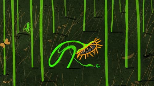 Подсолнух Bild 1