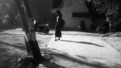 कुछ भी न जानने की एक रात Bild 7