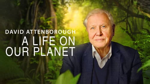 David Attenborough: Mein Leben auf unserem Planeten Bild 8