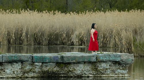 Le grand solstice 2022 Bild 6