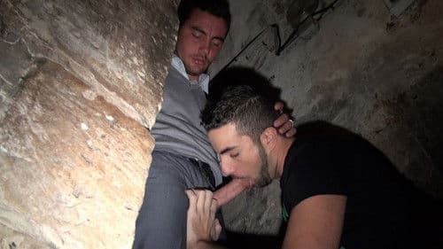 French In Suits Bild 3