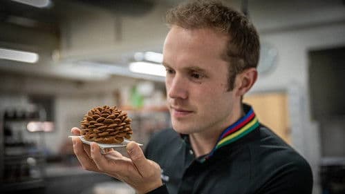 Lluc, una crònica de la pastisseria Bild 1