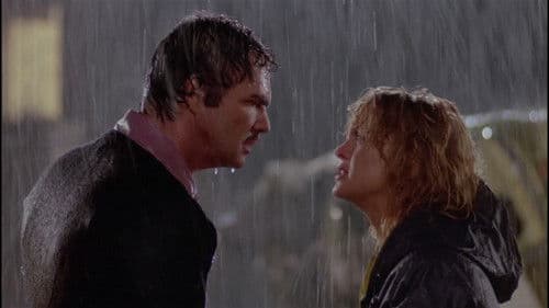 Zwei dicke Freunde Bild 2