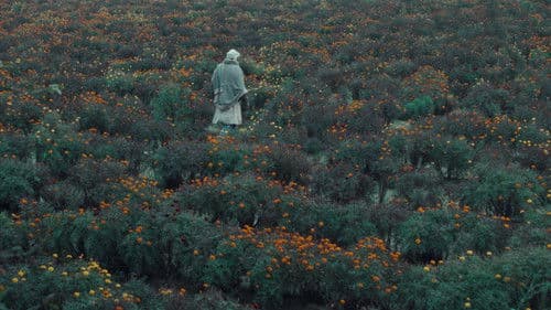 खाल बछड़ा Bild 2