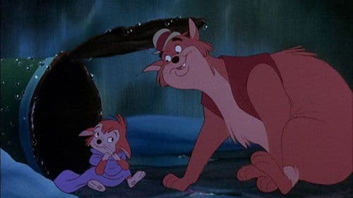 Banjo the Woodpile Cat Bild 1