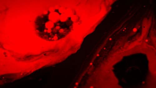 Sarah tem Fome! Bild 2