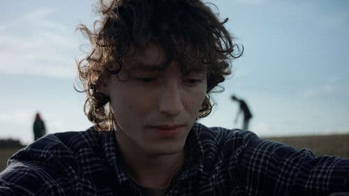 Die Amsel auf dem Ast Bild 3