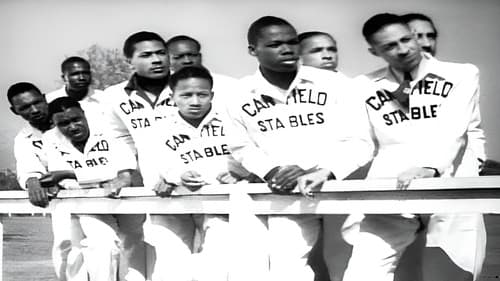 Hollywood Handicap Bild 2