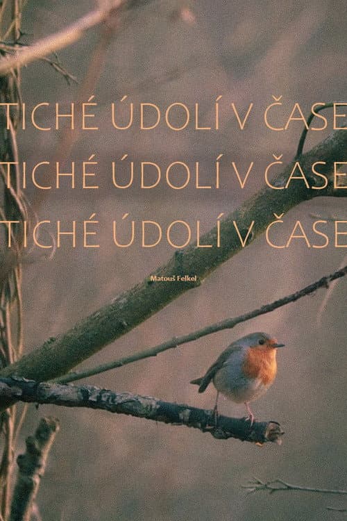 Tiché údolí v čase