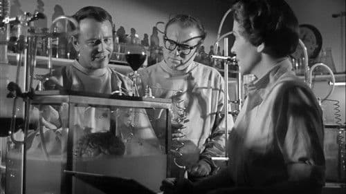 Donovans Hirn Bild 1