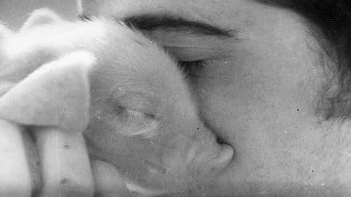 Vase de Noces Bild 1