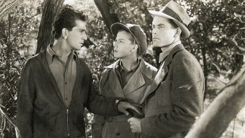 Heaven with a Barbed Wire Fence Bild 1