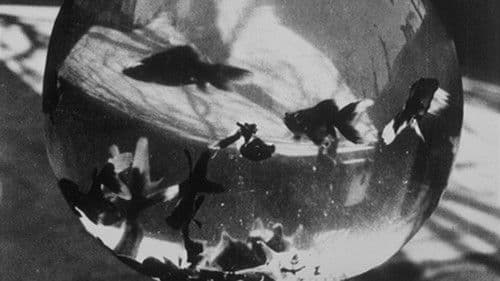 Bocal aux poissons rouges Bild 1