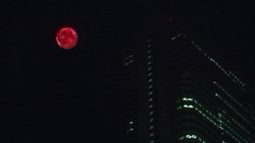 Twilight Dinner Bild 2