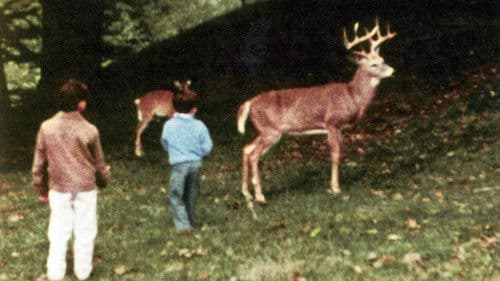 The Hart of London Bild 4