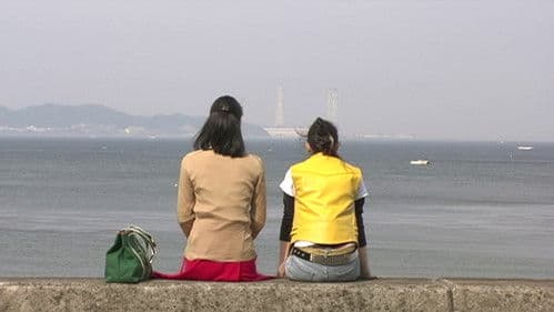 亀は意外と速く泳ぐ Bild 4