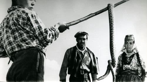 Yılanların Öcü Bild 4