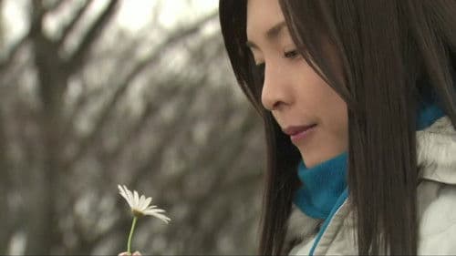 薔薇のない花屋 Bild 2