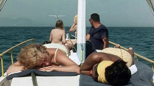 Scharfe Schüsse auf Jamaika Bild 2