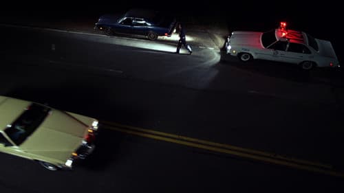 Der Fall Randall Adams Bild 2