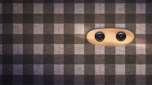 Der karierte Ninja Bild 2