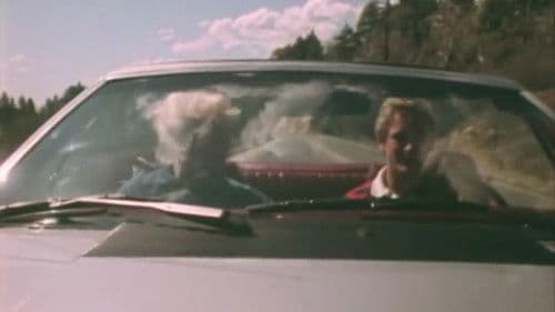 Blonds do it best Bild 4