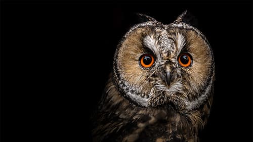 Natural World Bild 7