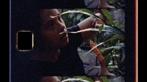 Super Natural Bild 5