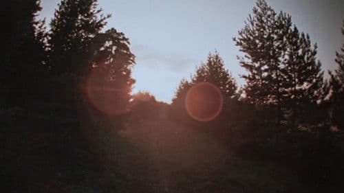 Värvilised unenäod Bild 2