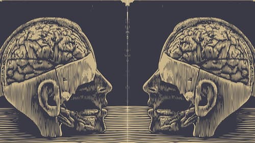 Lobotomy, or the Blinding Creation of Moniz Bild 1