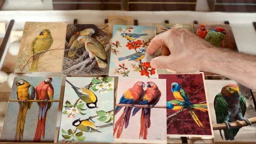 Langue des oiseaux Bild 1