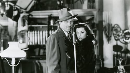 Bermuda Mystery Bild 1