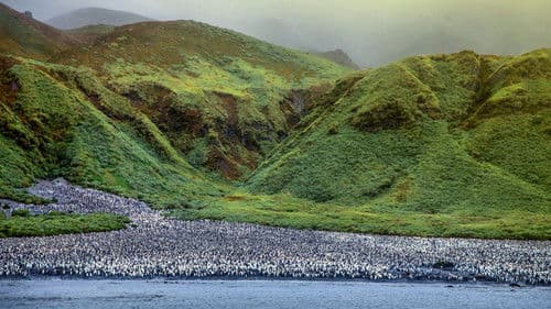 Antarktika - Die gefrorene Zeit Bild 3