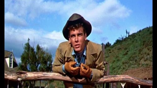 Schieß oder stirb! Bild 7