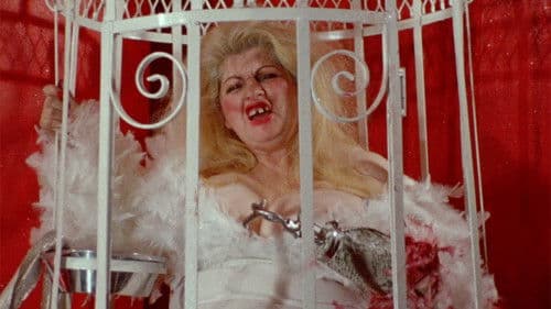 Female Trouble Bild 4