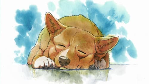 アインのなつやすみ Bild 1